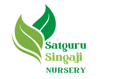 Satguru Singaji Nursery Logo